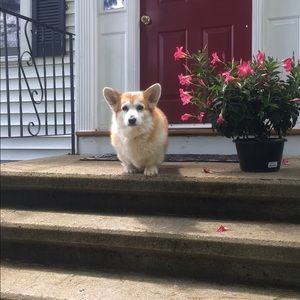 Meet your Posher, Olivia